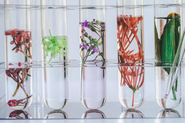 Nutritional Research, Chris Barr