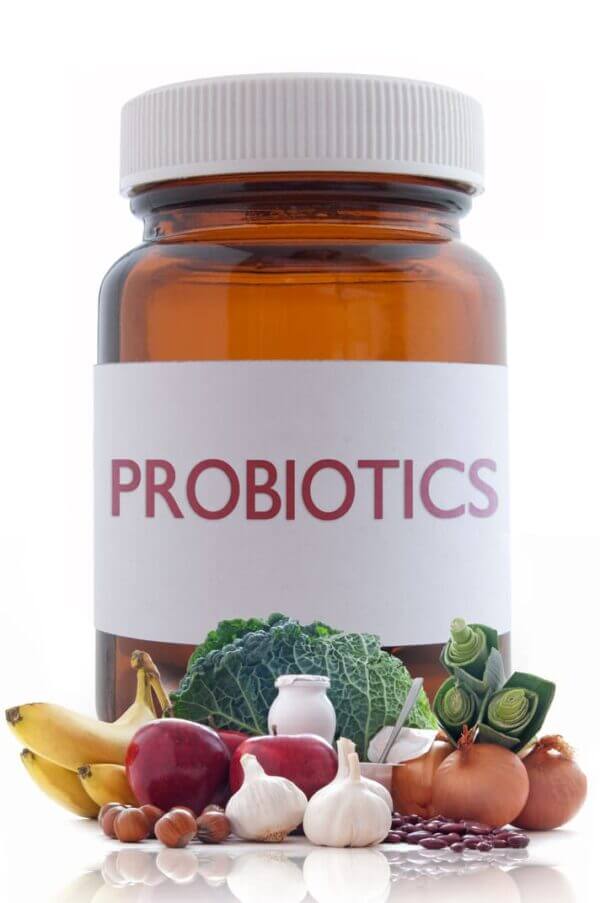 Take a Look at How Probiotics Work to Improve Gut Health